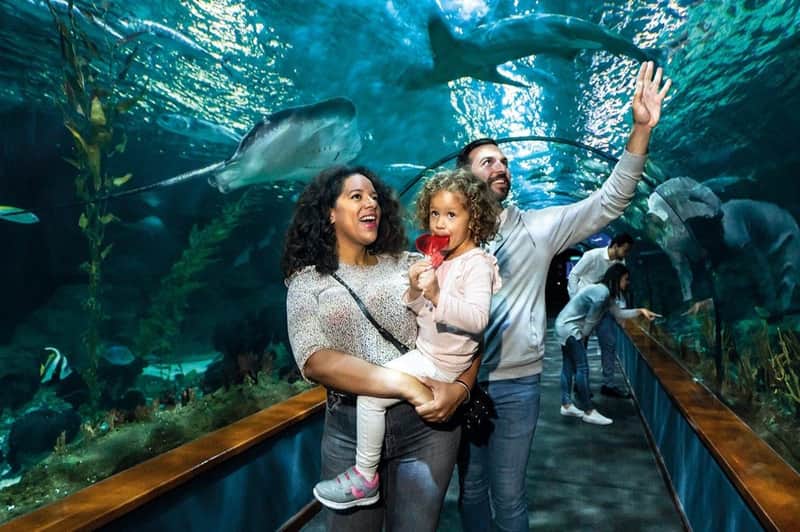 Loro Parque: Entry Ticket + Diamond Pass Loro Parque: Entry Ticket + Diamond Pass