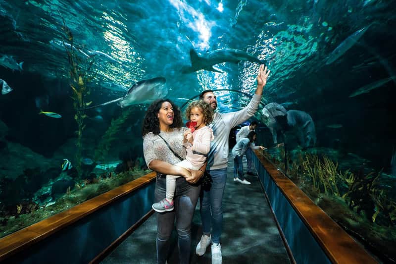 Loro Parque: Entry Ticket Loro Parque: Entry Ticket