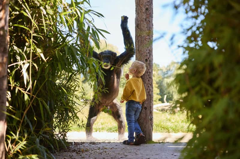 Eindhoven Zoo Eindhoven Zoo