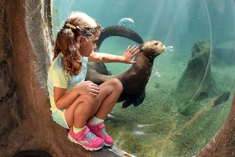 Zoo Miami: Skip The Line Ticket Zoo Miami: Skip The Line Ticket