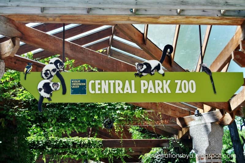 New York: 30+ Top Sights Walking Tour + Central Park Zoo Entry