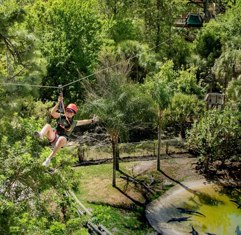 Gatorland Orlando: Screamin' Gator Zip Line Gatorland Orlando: Screamin' Gator Zip Line