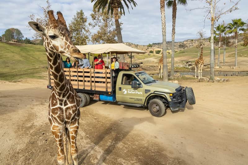 San Diego Zoo Safari Park: Entry Ticket San Diego Zoo Safari Park: Entry Ticket