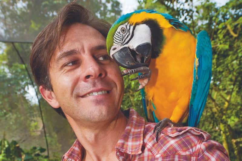 Birdworld Kuranda Birdworld Kuranda