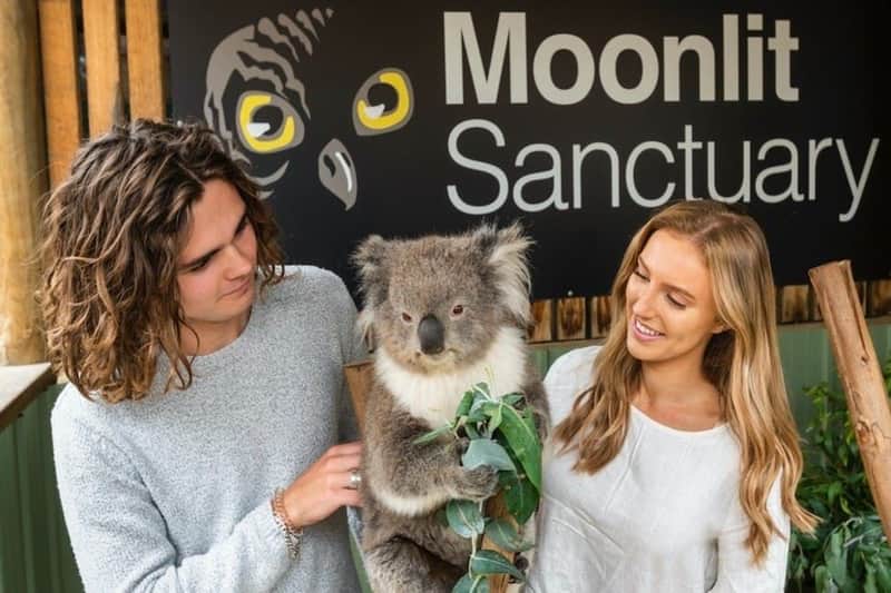 Moonlit Sanctuary Wildlife Conservation Park Moonlit Sanctuary Wildlife Conservation Park