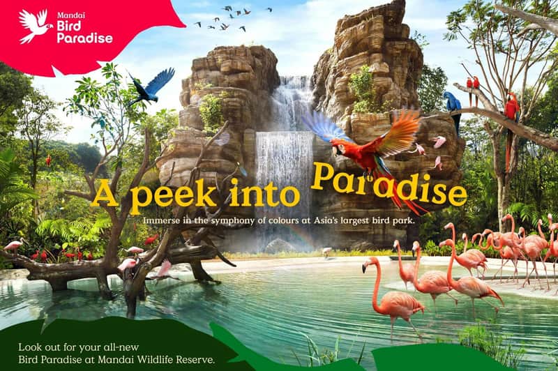 Paraíso de las Aves Singapur Paraíso de las Aves Singapur