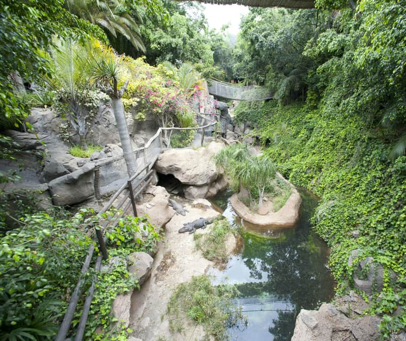 Jungle Park Jungle Park