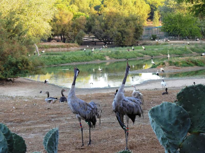 Cañada de los Pájaros