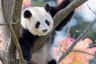 Adelaide Zoo
