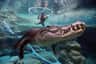 Crocosaurus Cove