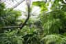 Australian Butterfly Sanctuary