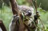 Melbourne Zoo