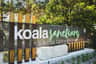 Port Stephens Koala Sanctuary
