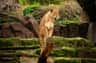 ZOO Antwerpen