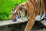Prague Zoo