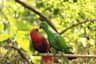 Lombok Wildlife Park