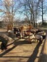 Oradea Zoo