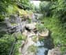Jungle Park