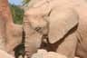 Bioparc Valencia