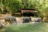 Khaolak Elephant Conservation Khaolak Elephant Conservation